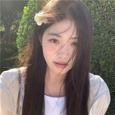 白鸥啊 不要飞起来
